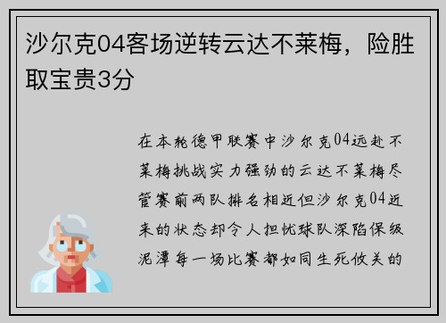 沙尔克04客场逆转云达不莱梅，险胜取宝贵3分