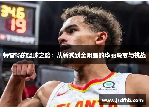 特雷杨的篮球之路：从新秀到全明星的华丽蜕变与挑战