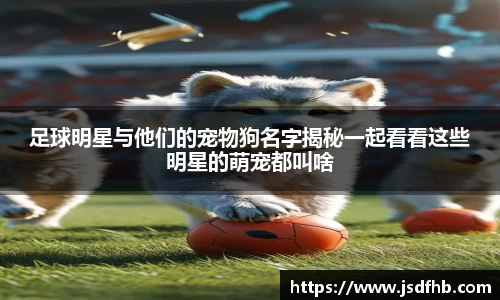 bevictor伟德平台